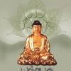 Book Dharmapadam (buddhadeva Sookthangal)