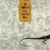 Book Dhathaapaharam