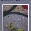 Book Ninnekkurichezhuthumpol