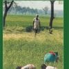 Book Nellinte Geetham