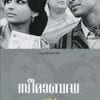 Book Seemabaddha