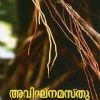 Book AVIGNAMASTHU