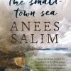 Book THE SMALL TOWN SEA