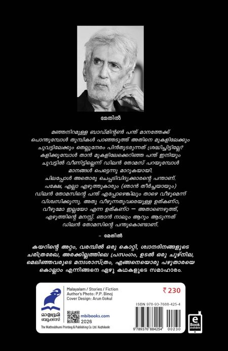 Book_DYLAN THOMASINTE PANTHU