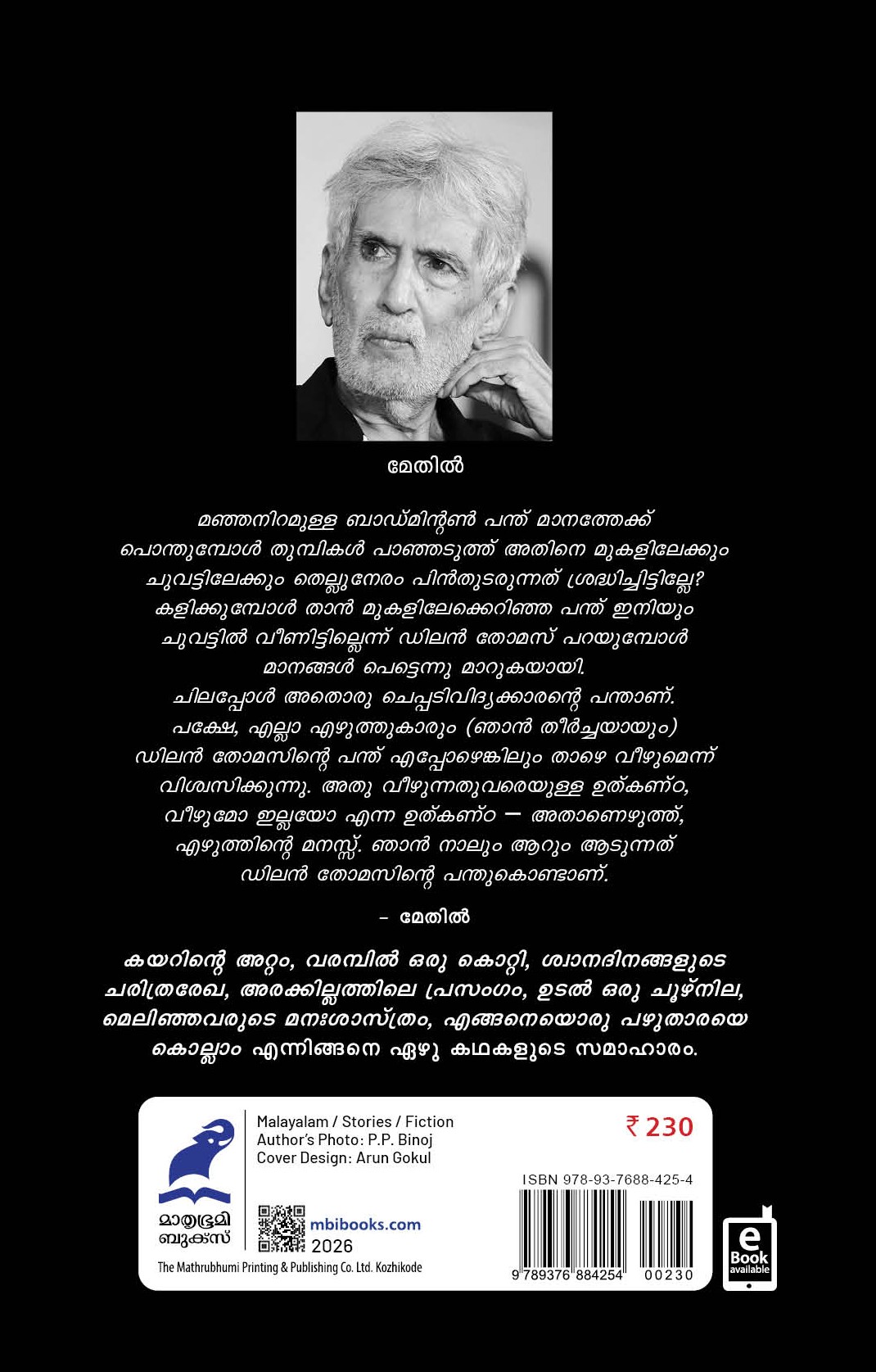 Dylan Thomasinte Panth Cover - Back Book_DYLAN THOMASINTE PANTHU